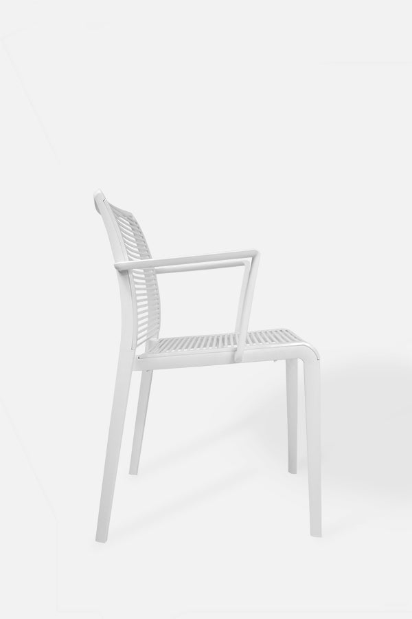 Silla Avenica